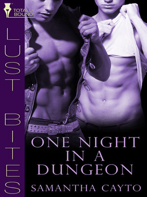 cover image of One Night in a Dungeon